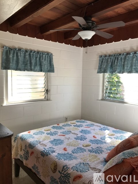 A bedroom with a bed, a ceiling fan, and two windows with curtains.