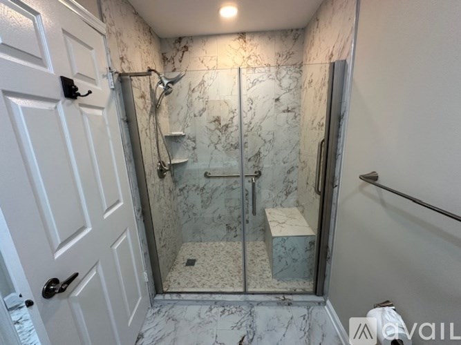 A bathroom with a marble shower and a white door.