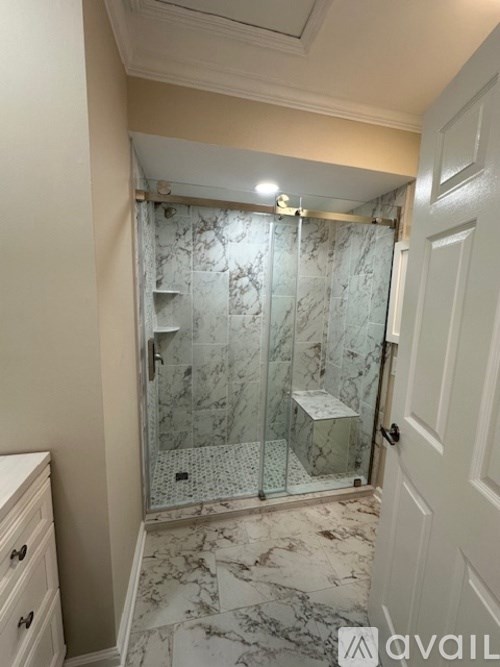 A bathroom with a marble shower and a white door.