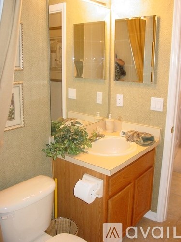 A bathroom with a toilet, sink, mirror and a plant.