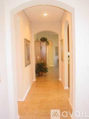 A hallway with a plant and pictures on the wall.