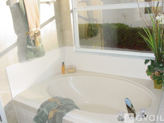 A bathroom with a tub, a window, and a plant.