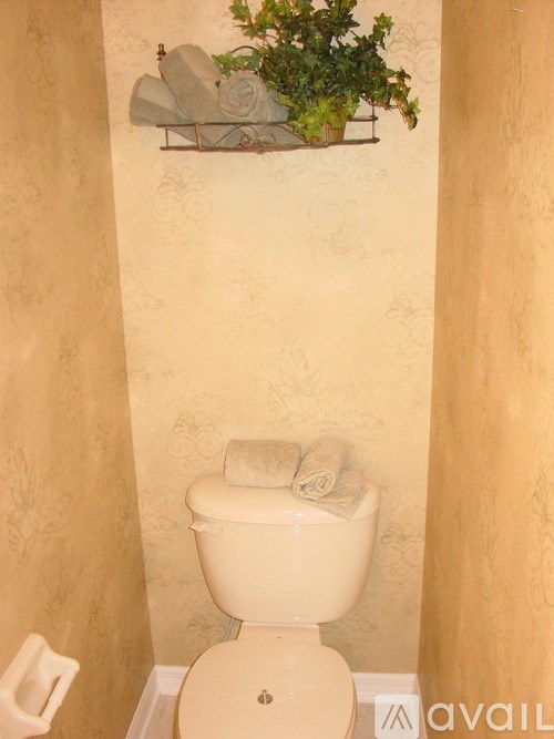 A white toilet with a plant on top of the tank.
