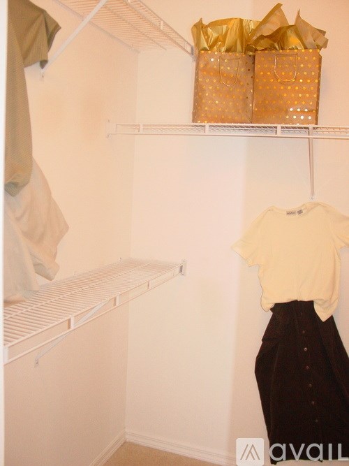 A woman is standing in front of a closet with a white shirt and brown skirt.
