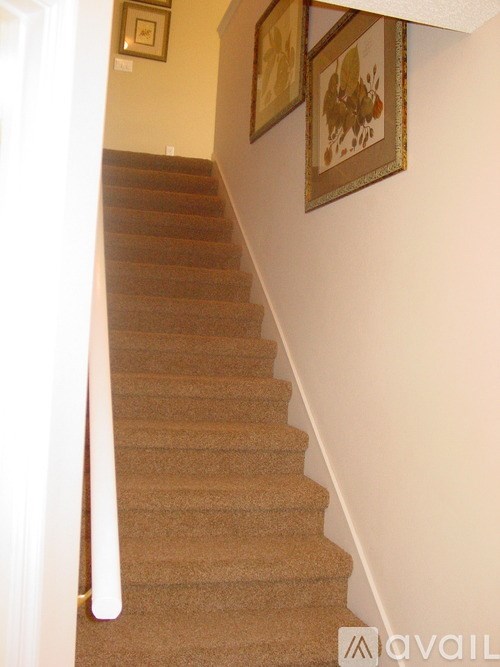 A staircase with a carpeted runner and a white railing.