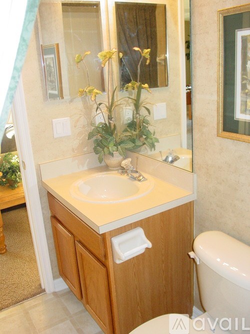A bathroom with a sink, toilet and a mirror.