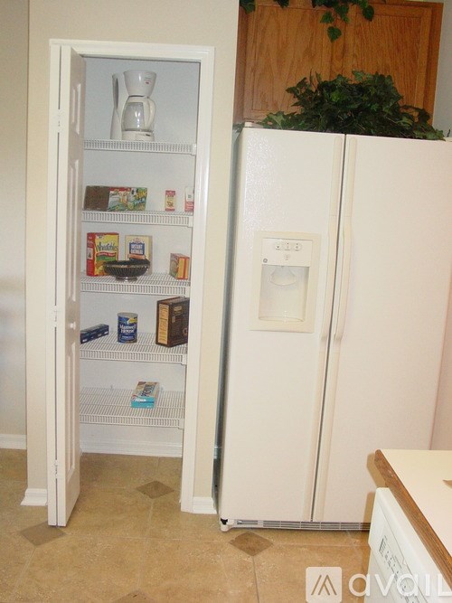 A white refrigerator with a plant on top of it.