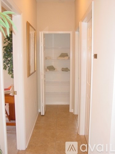 A hallway with a white door and a plant on the left.