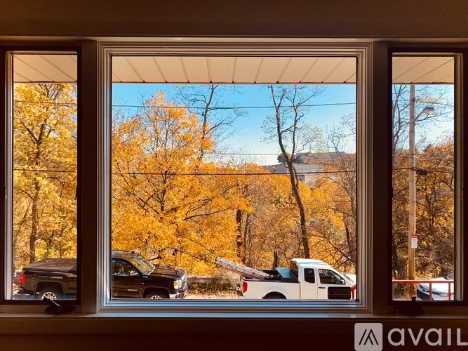 A view from a window showing a tree with yellow leaves and a black truck parked outside.