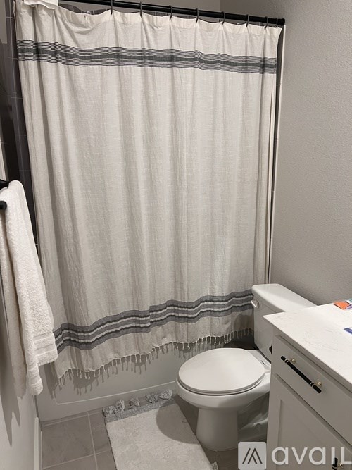 A white toilet sits next to a shower curtain in a bathroom.