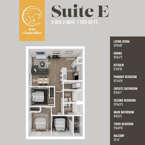 939 Chancellor Drive 2-3 Beds Apartment for Rent - Photo Gallery 29