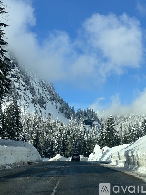 A road with snow on the sides and trees on the mountain.