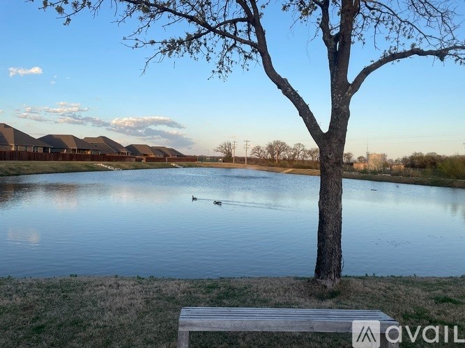 A tree stands next to a body of water with a bench in front of it.