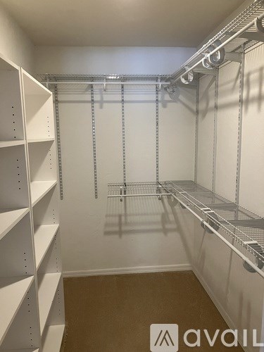 A white walk-in closet with shelving and a carpeted floor.