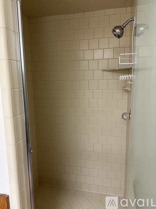 A shower with a white tiled wall and a glass door.