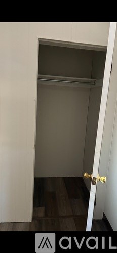 A white door with a gold handle is open to a white interior.