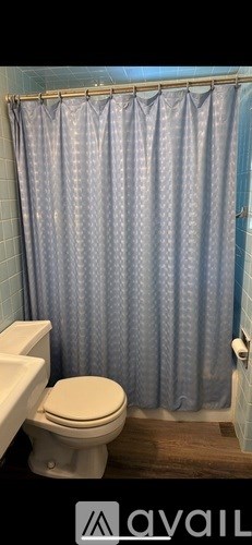 A bathroom with a toilet, sink, and shower curtain.