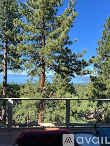 A view of a forest with a mountain in the distance.