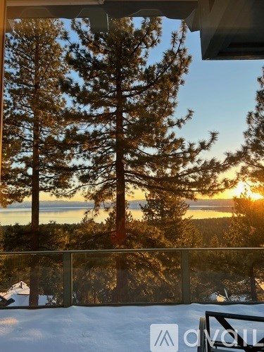 A view of a snowy landscape with trees and a sunset.