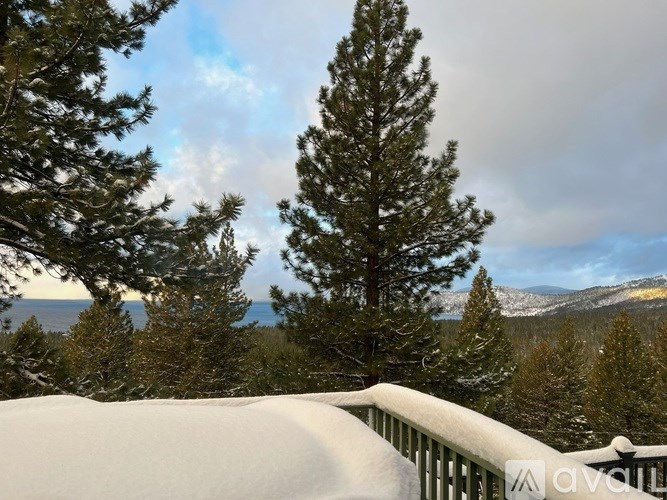 A snowy landscape with trees and a mountain in the distance.