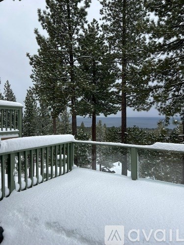 A snow-covered deck with trees in the background.