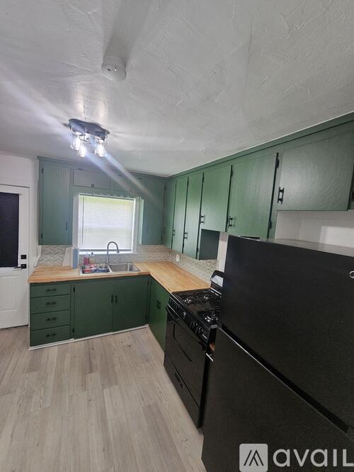 A kitchen with green cabinets and a black fridge.