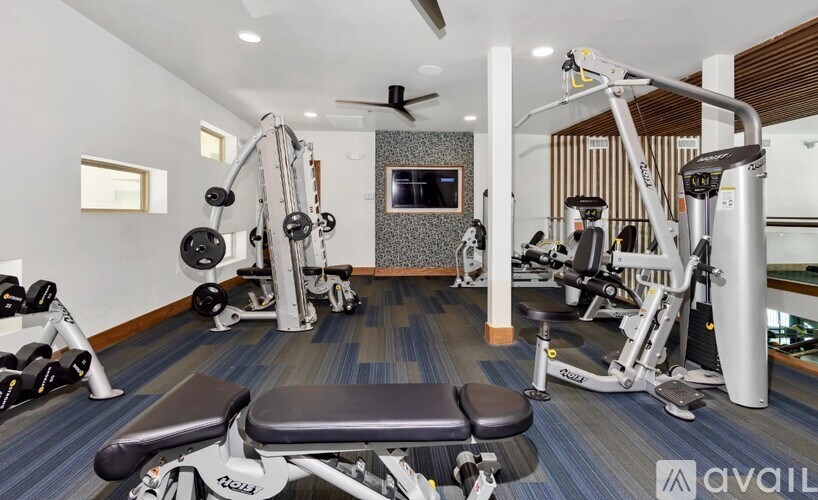 A well-equipped home gym with a variety of exercise machines.
