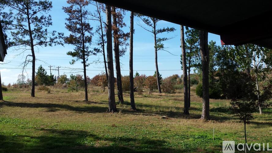 A grassy field with trees and a clear sky.