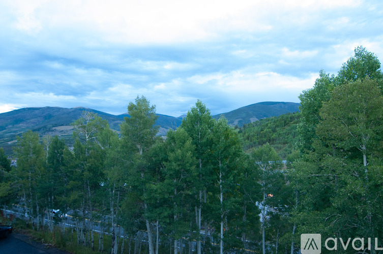 A forest of trees with a mountain in the background.