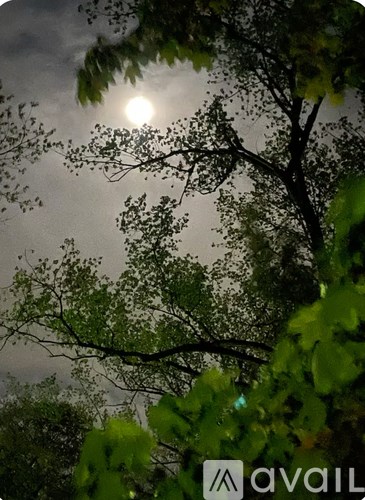 Source URL: https://prod-avail.s3.amazonaws.com/public_images/41510048/listing/IMG_1947.jpeg