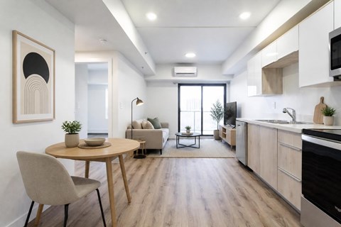 420 5Th Ave N Studio-2 Beds Apartment for Rent