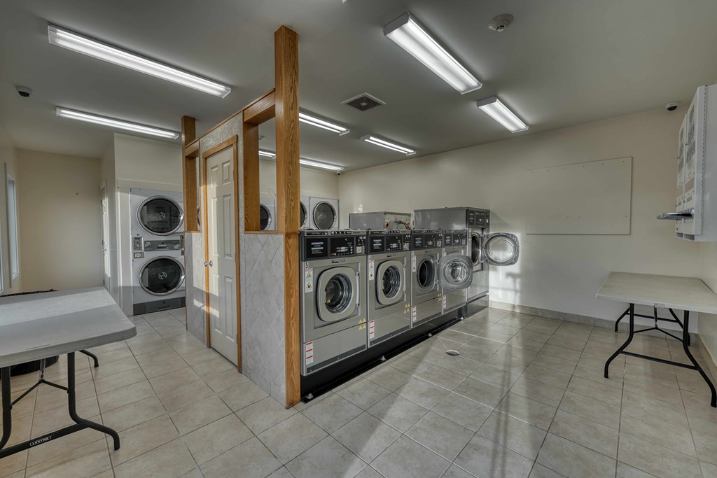 A laundromat with a row of washers and dryers.