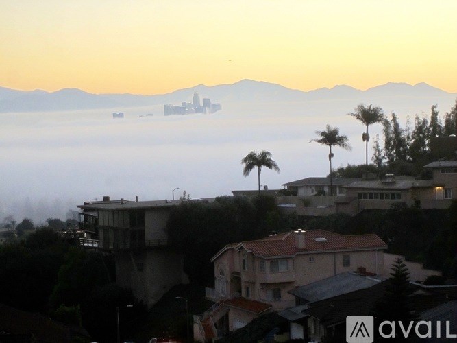 A view of a city with buildings and palm trees in the foreground and mountains in the background.