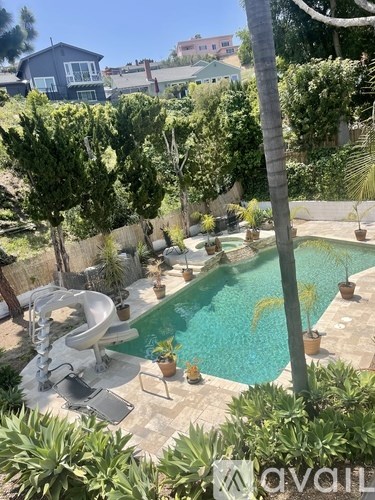 A pool surrounded by green plants and trees.