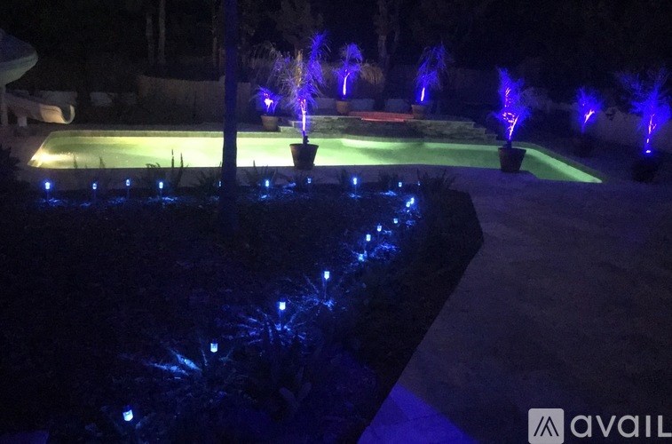 A garden at night with blue lights.