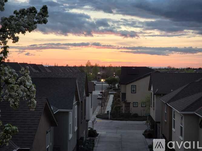 A residential area with houses and a tree in the foreground during sunset.