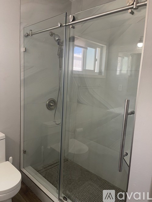 A glass shower stall with a white toilet next to it.
