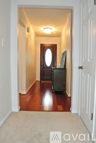 A hallway with a white door and a brown door at the end.