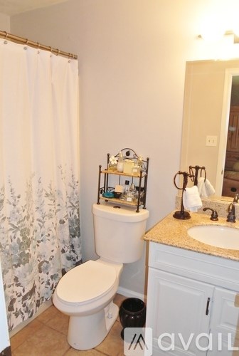 A bathroom with a toilet, sink, and shower curtain.