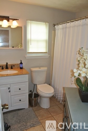 A white toilet is in a bathroom with a sink and mirror.