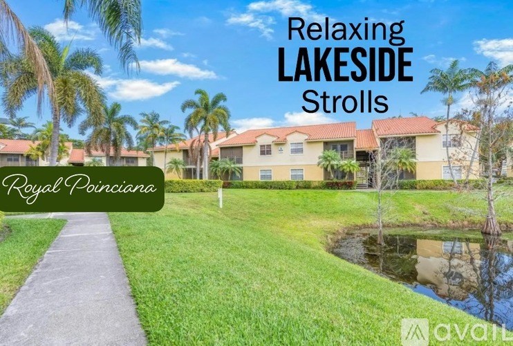 A lakeside stroll in Royal Poincianas.