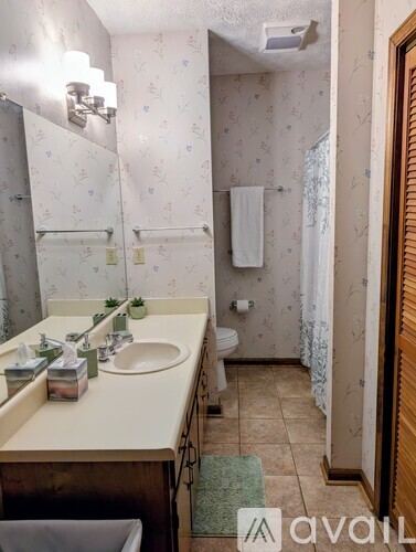 A bathroom with a sink, mirror, toilet, and a shower curtain.