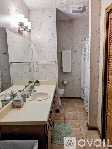A bathroom with a sink, mirror, toilet, and a shower curtain.