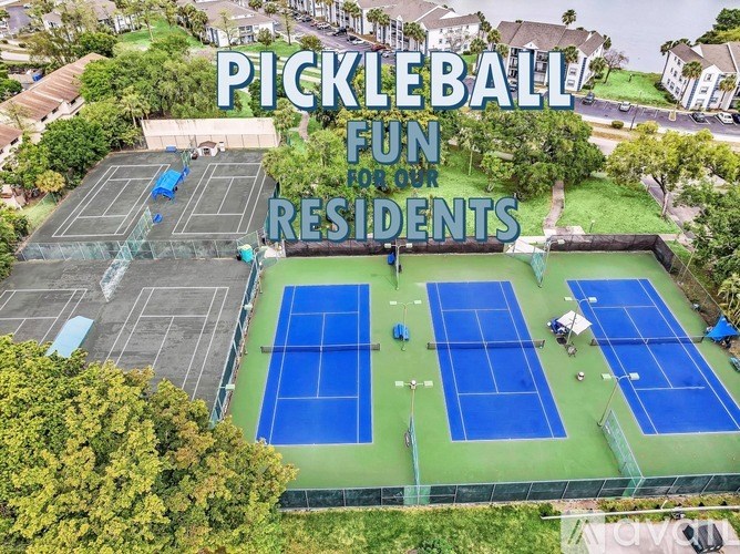 Pickleball court surrounded by trees and houses.