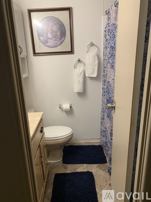 A bathroom with a toilet, a shower curtain, and a framed picture on the wall.