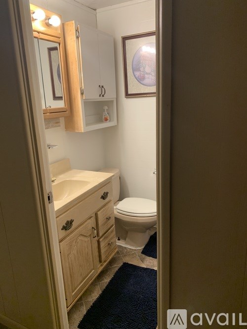 A bathroom with a toilet, sink, and mirror.