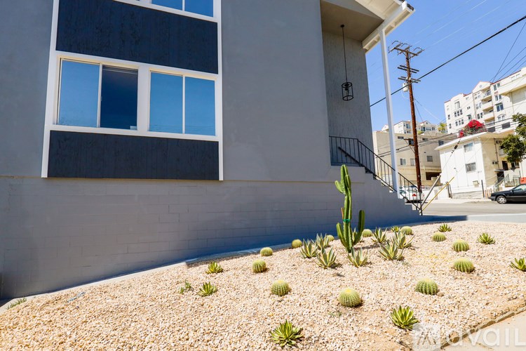 A cactus garden in front of a grey building.