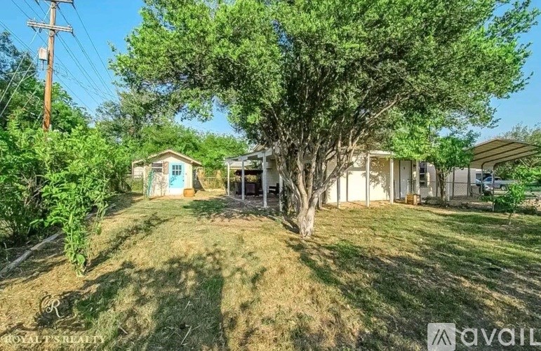 A tree in a yard with a house in the background.