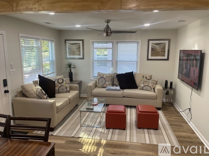 A living room with a couch, chair, and a rug.