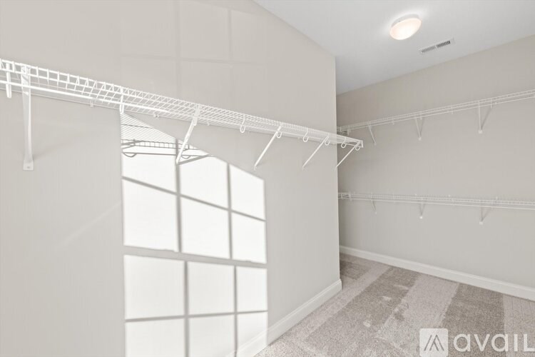 A white laundry room with a wall of windows and a carpeted floor.